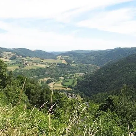 Saumon: Confort Pour 4, Animaux Bienvenus - Fr-1-582-487 *