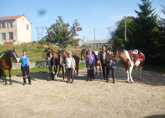 Saumon: Confort Pour 4, Animaux Bienvenus - Fr-1-582-487 *