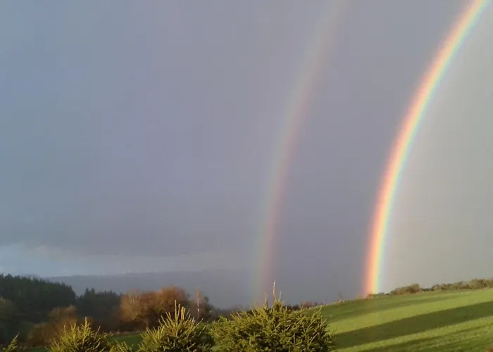 Saumon: Confort Pour 4, Animaux Bienvenus - Fr-1-582-487