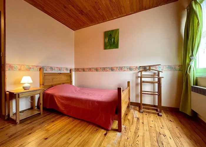 Saumon: Confort Pour 4, Animaux Bienvenus - Fr-1-582-487 * Alleyras