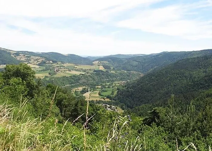 Saumon: Confort Pour 4, Animaux Bienvenus - Fr-1-582-487 *