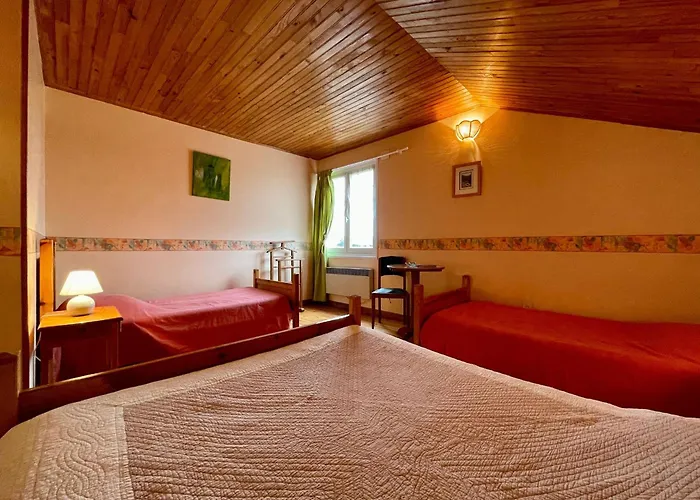 Saumon: Confort Pour 4, Animaux Bienvenus - Fr-1-582-487 * Alleyras