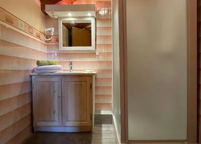 Bed & Breakfast Saumon: Confort Pour 4, Animaux Bienvenus - Fr-1-582-487